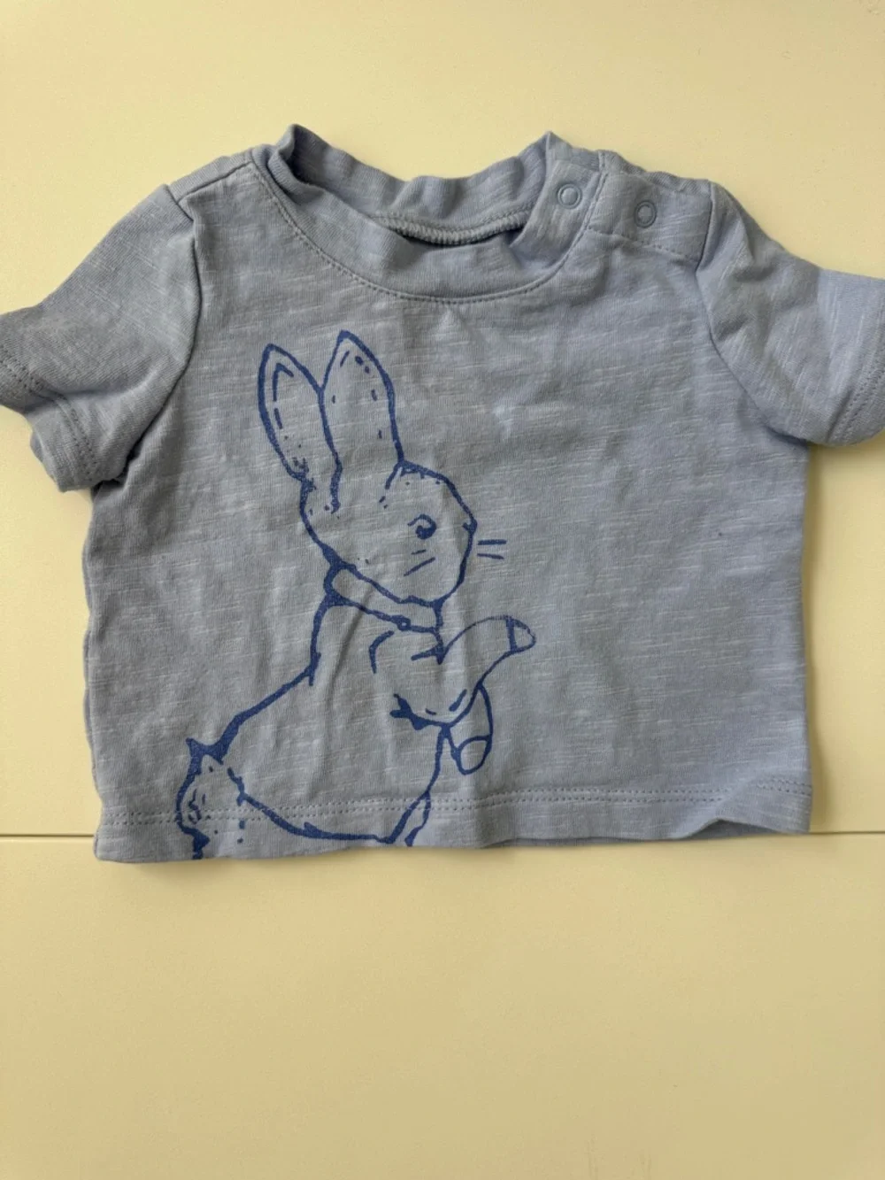 BabyGap Peter Rabbit 2 Piece Set Tshirt and Shorts Set Blue Size 0-3 Months